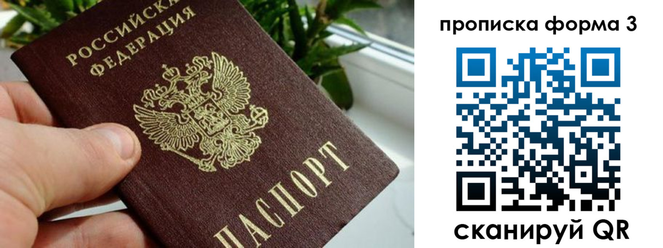 купить прописку в Белгороде